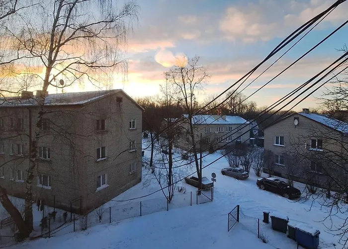 Cosy Bliss In Apartment Riga